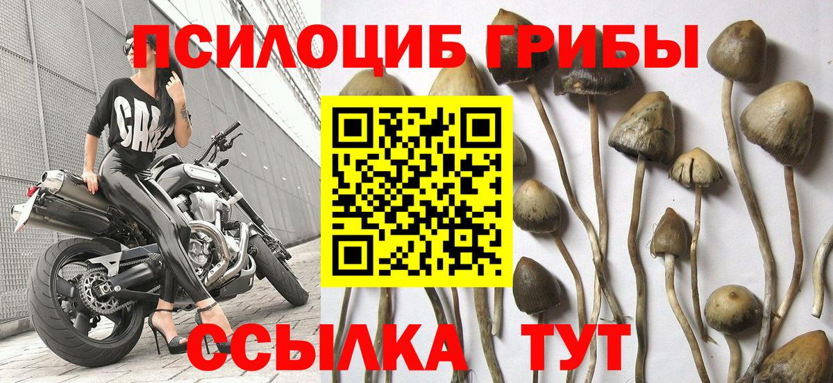 Котельники  Псилоцибиновые грибы мухоморы  Вход с VPN 